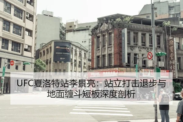 UFC夏洛特站李景亮：站立打击退步与地面缠斗短板深度剖析